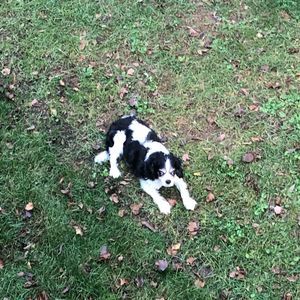 Meet your Posher, Eileen